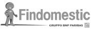 Logo Findomestic